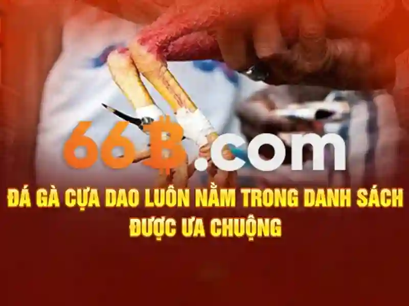 66B: một bản tóm tắt