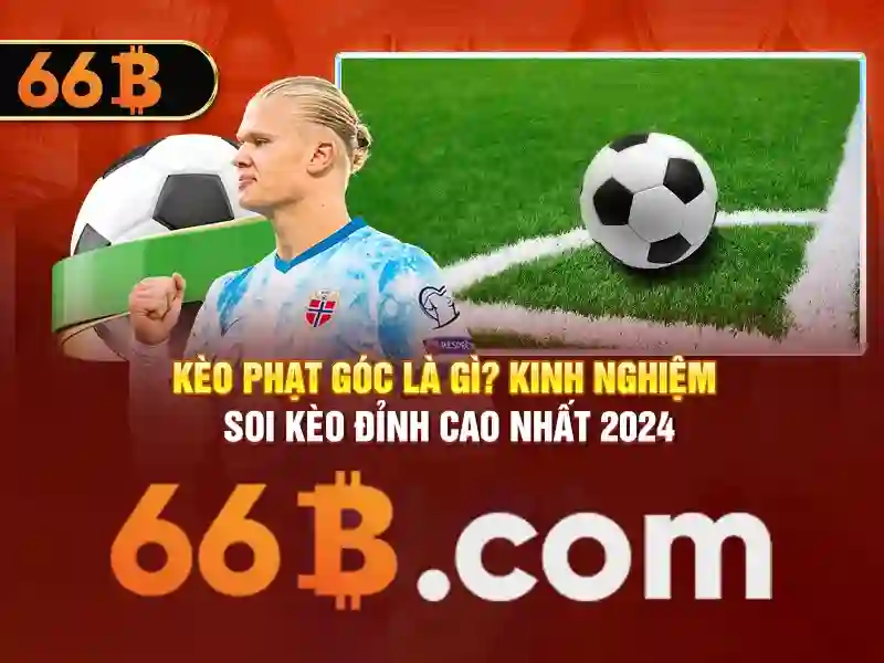 Tầm nhìn tổng quan về mô hình 66B
