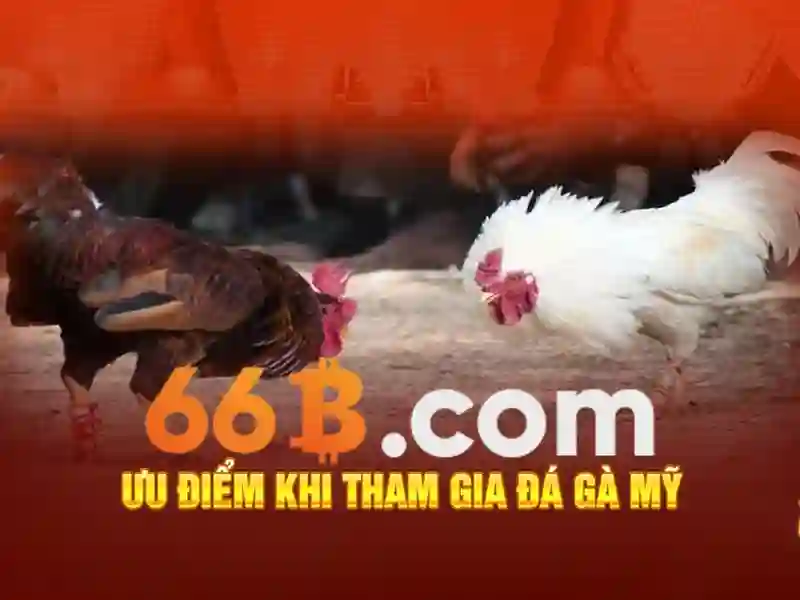 Khả năng và giới hạn