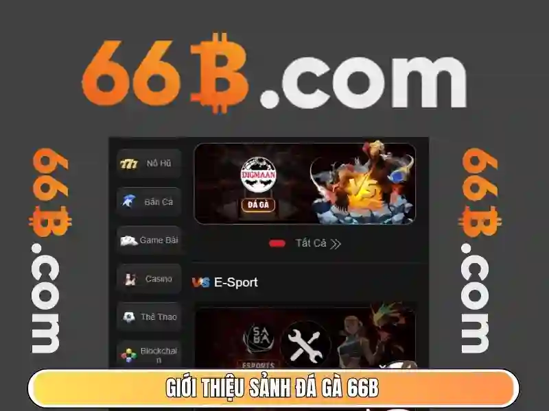 Ứng dụng của 66b trong công nghệ dữ liệu