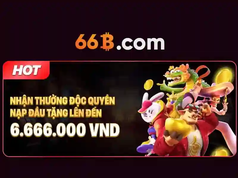 66B là gì?