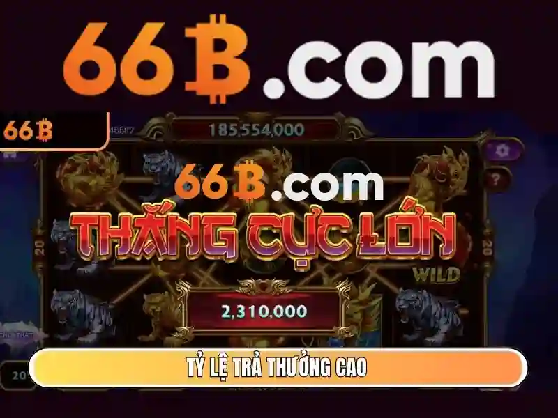 66b như một ký hiệu đa ngành