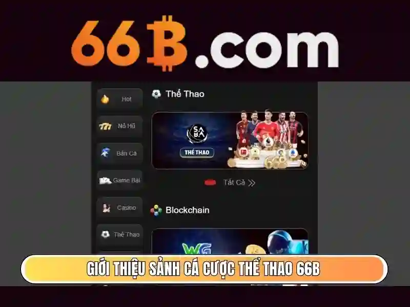 Khả năng và ứng dụng của 66B