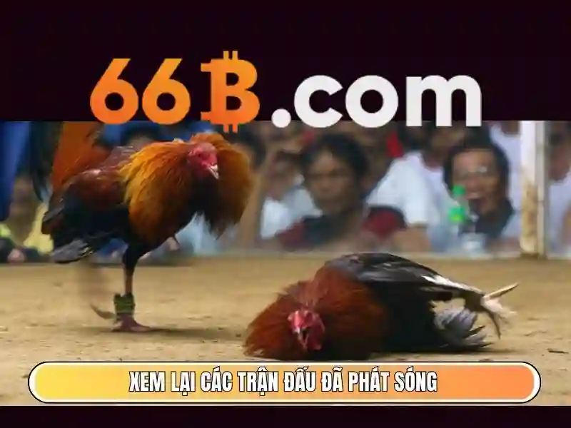 66B: Khai phá một AI lớn với 66 tỷ tham số Giao diện nhà cái hoàn hảo