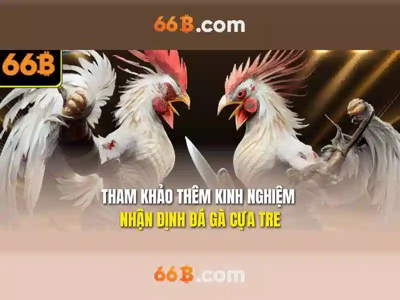 Giao diện nhà cái hoàn hảo