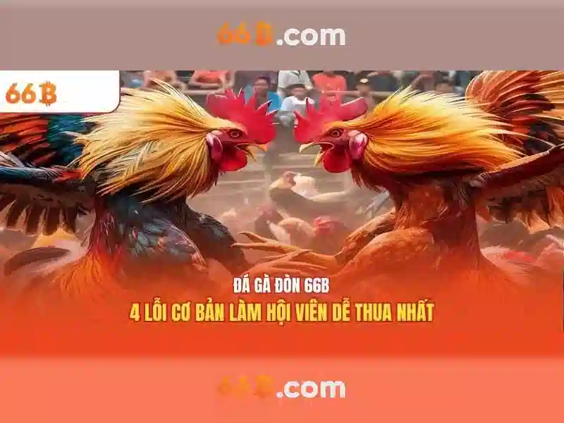 'Giới thiệu về 66B'