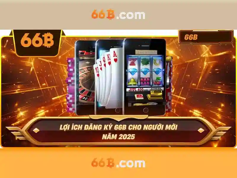 Đặc điểm nổi bật của 66B