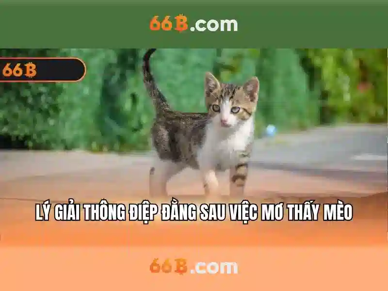 Giới thiệu về 66b