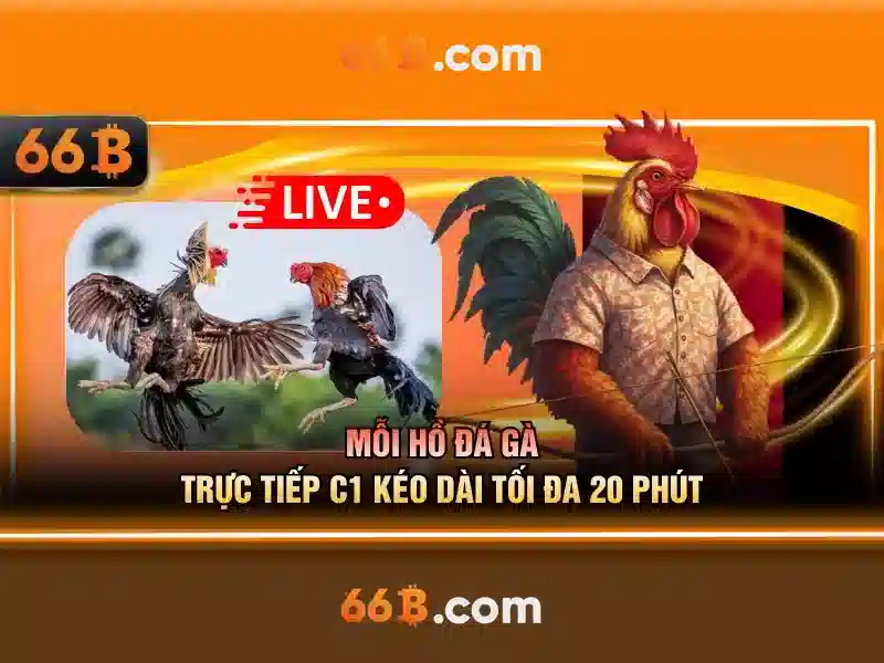 Kiến trúc và khả năng xử lý