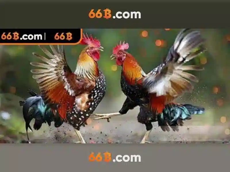 Giới thiệu về 66b