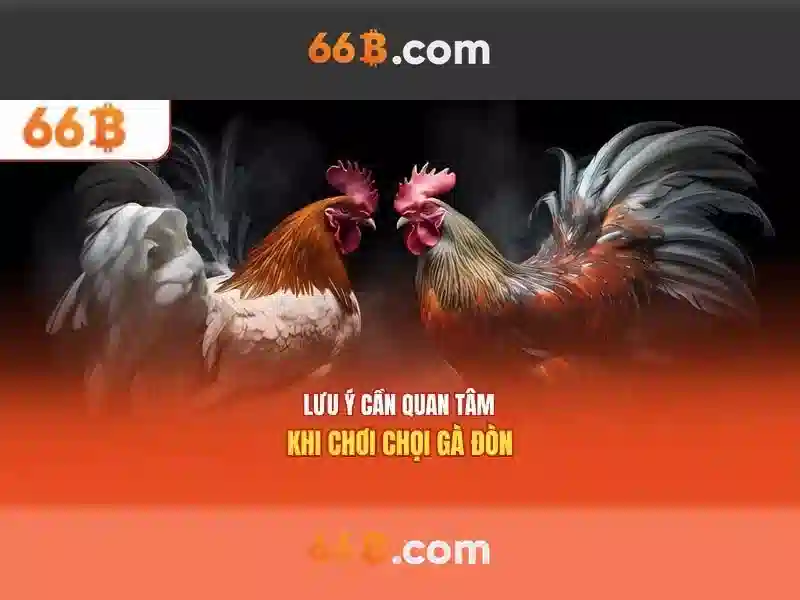 66B là gì?