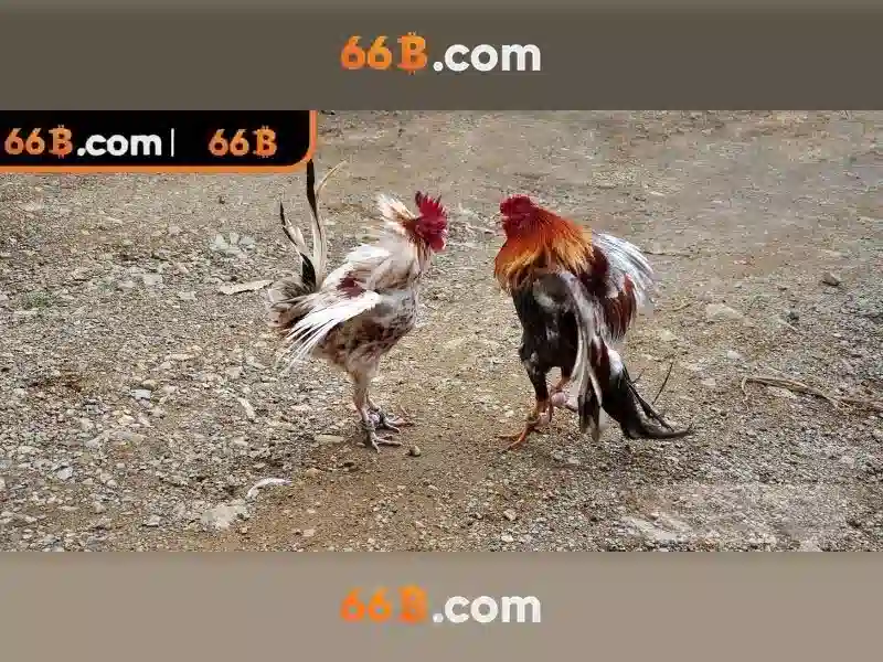 Ứng dụng và triển vọng