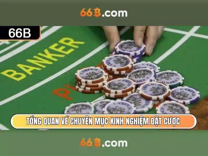 Giao diện nhà cái hoàn hảo