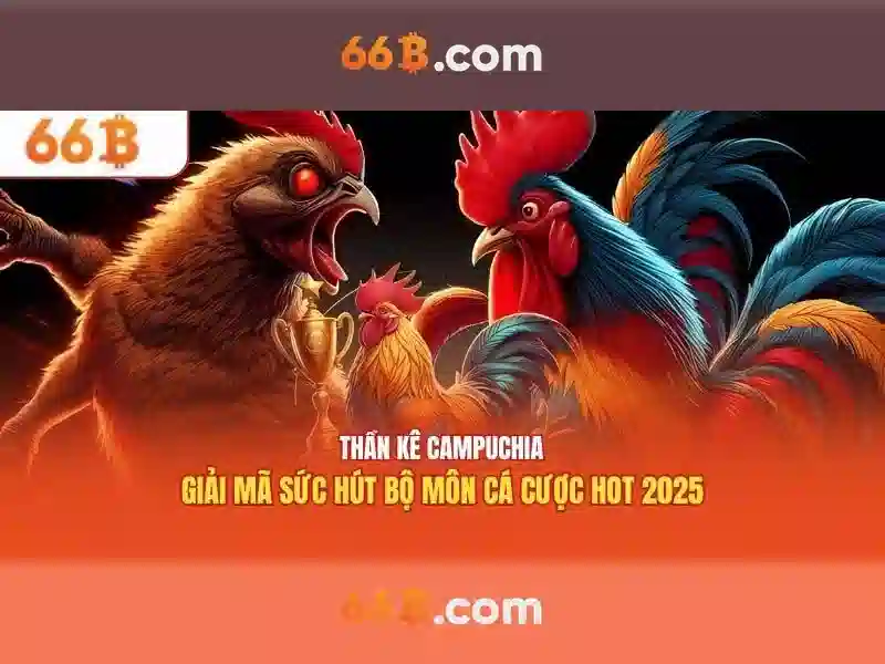 Ứng dụng thực tiễn