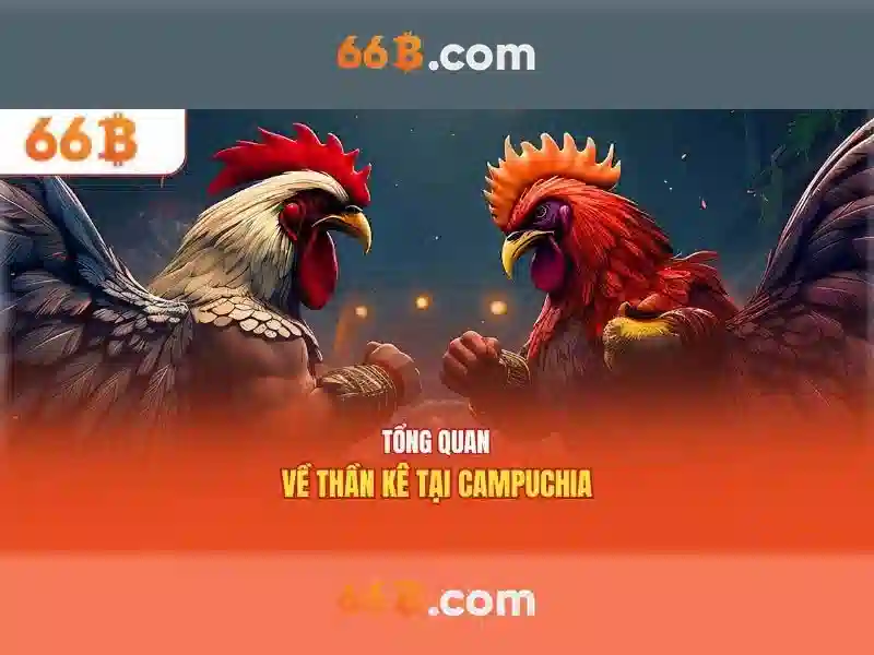 Ứng dụng và tác động