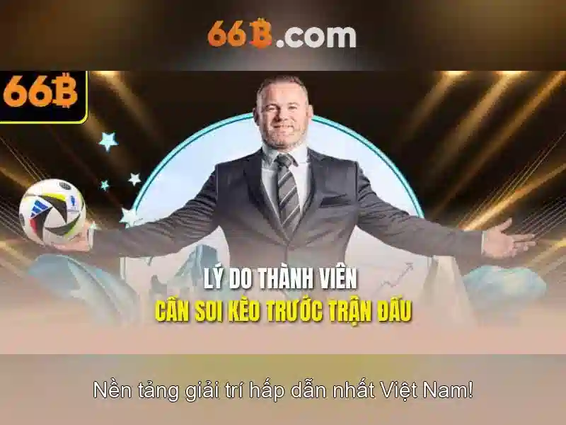 Kích thước và kiến trúc của 66B