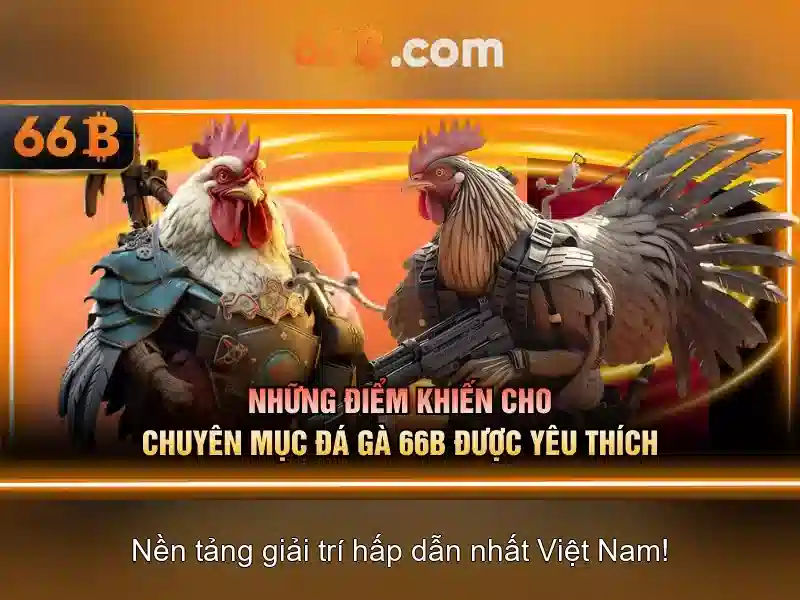 Các thách thức và cơ hội khi làm việc với 66b