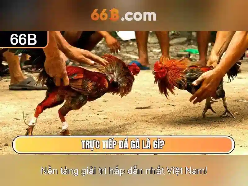 Kiến trúc và đặc điểm chính của 66b