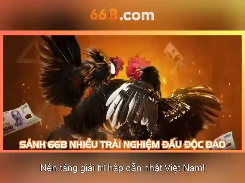 Đặc điểm chính