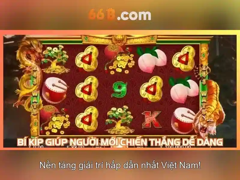 66B - một ký hiệu giữa số và câu chuyện
