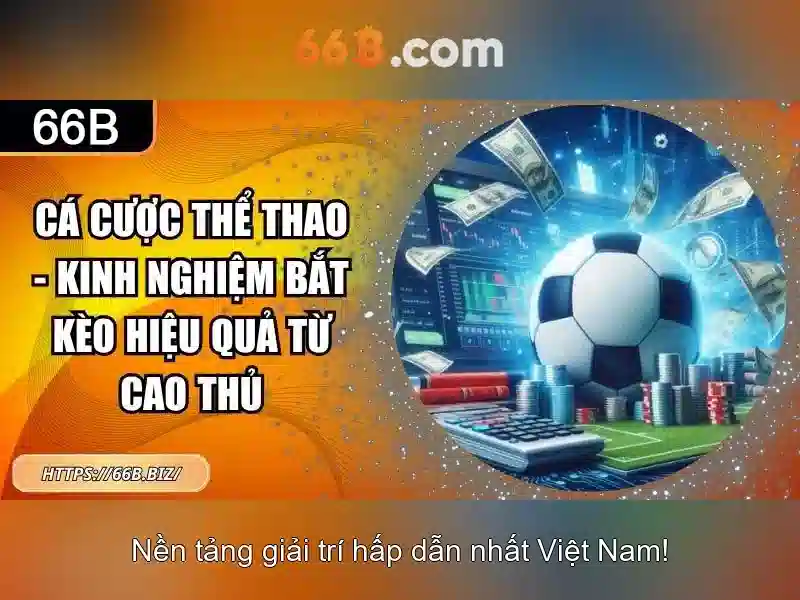 Giao diện nhà cái hoàn hảo