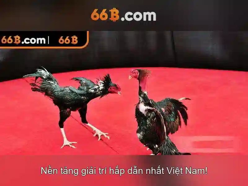 Nguồn gốc và lịch sử