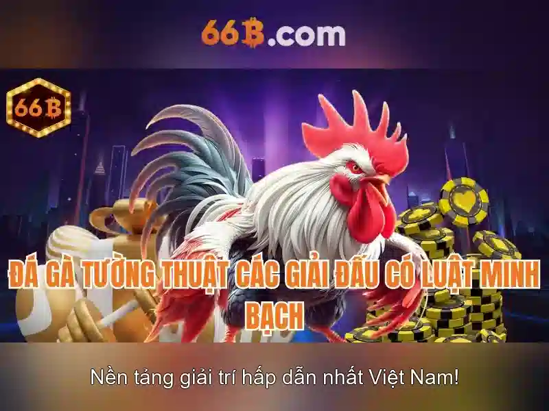 dieukhoan66b