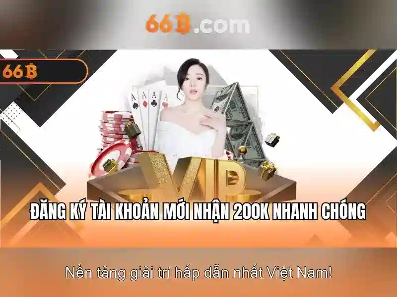 66B là gì?