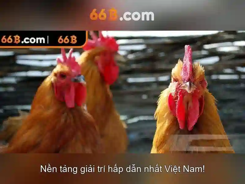 Kiến trúc và quy mô
