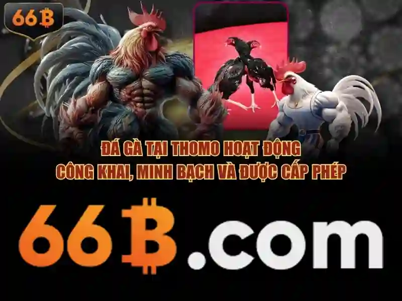 lô đề 66b: Khởi nguồn, trải nghiệm và định vị thương hiệu