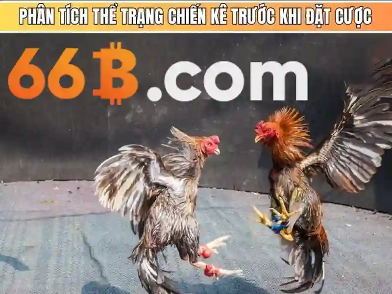 Giao diện nhà cái hoàn hảo