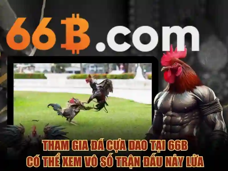 66b trong văn hóa số và cộng đồng mạng