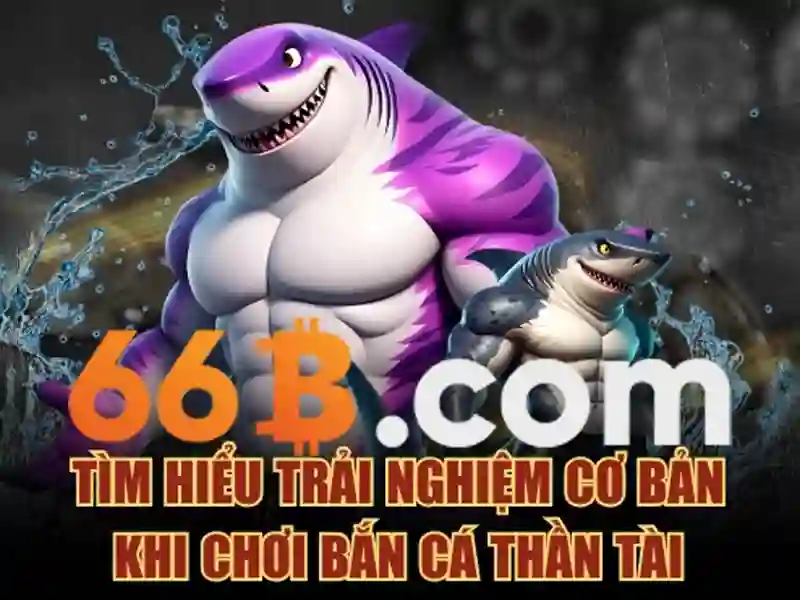 Giao diện nhà cái hoàn hảo