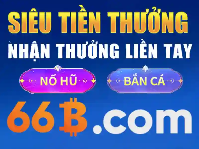 66b là gì?