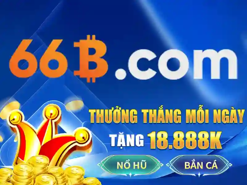 66B là gì?
