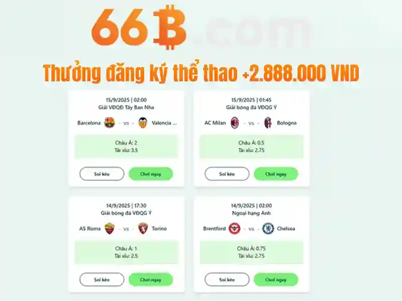 Đặc điểm nổi bật của 66b